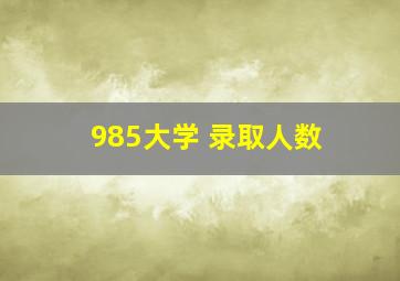 985大学 录取人数